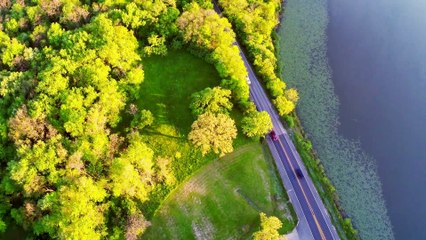Przetańczmy cała noc Garden Party