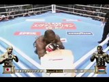 Melvin Manhoef - The Beast Unleashed