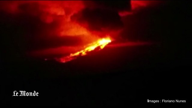 Une éruption volcanique dans les Galapagos menace une espèce unique d'iguanes