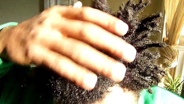 Natural, organic, neglect, freeform dreadlocks 5 months locked