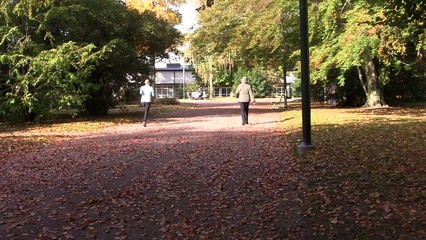 NEMEX - om neuromuskulär träning vid artros