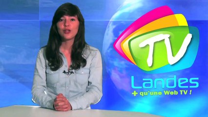 Série «beau travail» avec le métier d’analyste logistique