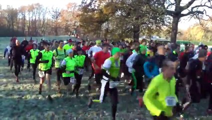 La clairière aux sangliers 2014