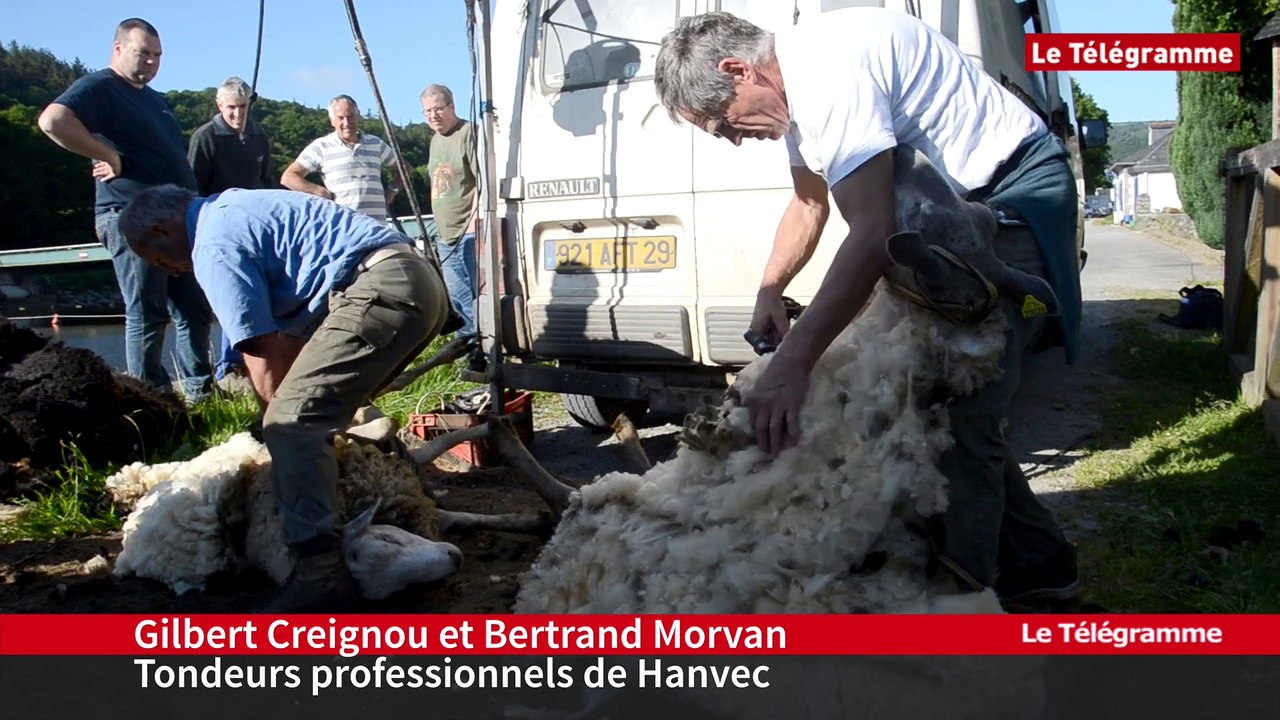 Port-Launay. (29) Les particuliers profitent de la tonte