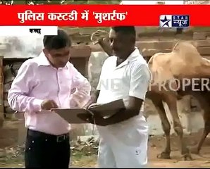 Camel Caught In Kach