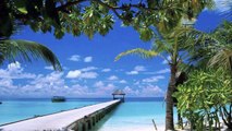 Ari Atoll - Maldives Islands