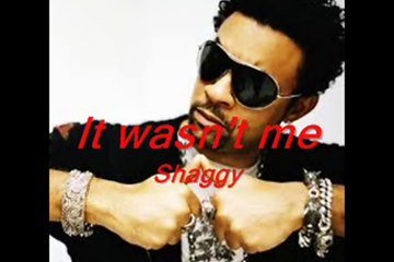 It wasn't me --- Shaggy