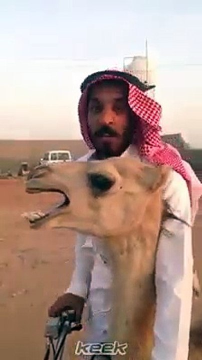 camel on bike
