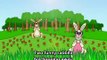 Two funny rabbits, ducks, sheep. Song sing. English for Children Nursery Rhymes. Traditional song.