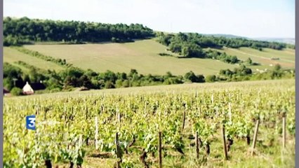 Millésime, balade en Côte chalonnaise (bande-annonce)