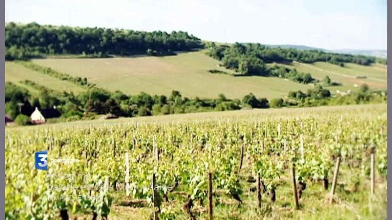 Millésime, balade en Côte chalonnaise (bande-an...