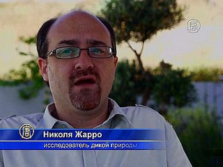 Буферная зона на Кипре превратилась в рай для животных