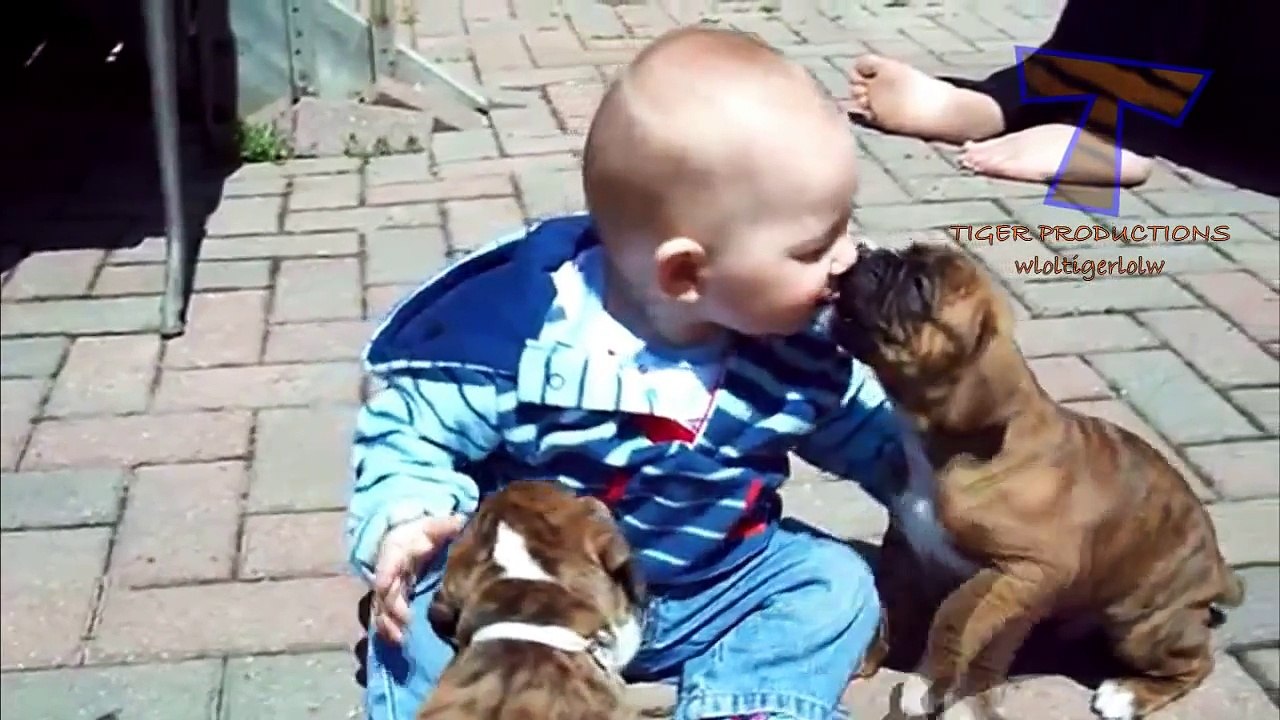 Funny babies annoying dogs - Cute dog _ baby compilation