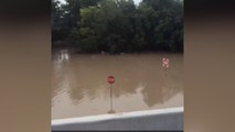 Social video shows weekend flooding in Texas