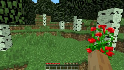 Minecraft Modsuz Moblara Dönüşme