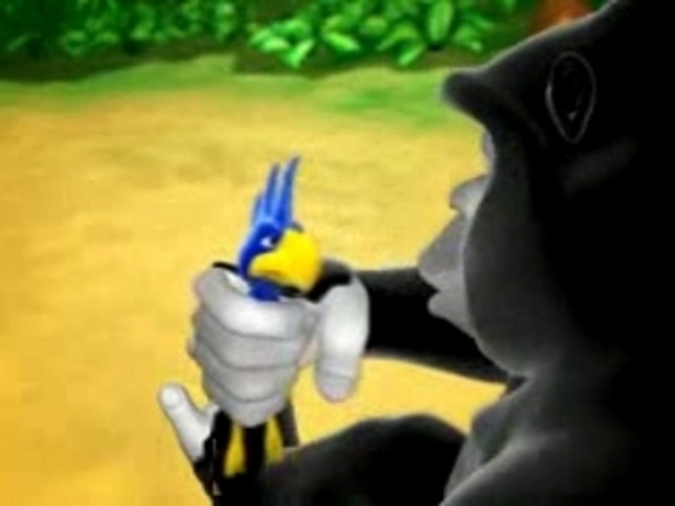 Kong and Bird