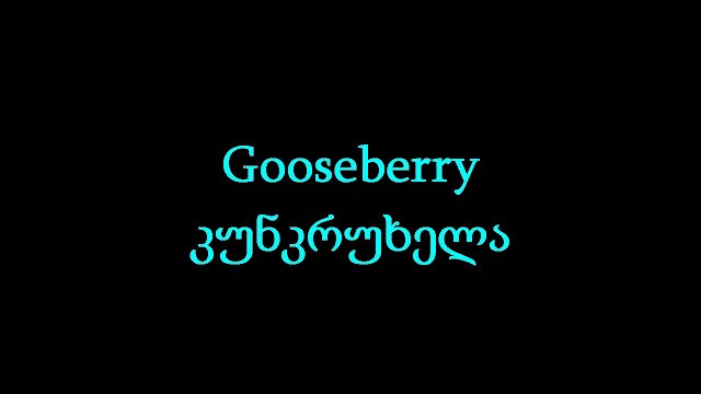 Video 8 Learning Georgian Fruits which means ხილი in Georgian language
