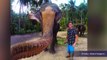 Elephant grabs tourist's GoPro and takes world's first 'elfie'