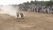 bull race chakrali shrif( gujharkhan)mela shabzada naveed iqbal