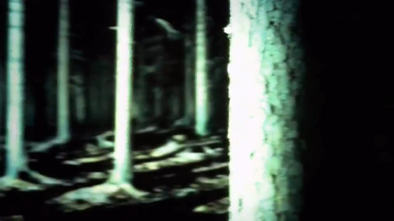 Apocalyptica feat. Sandra Nasić (Guano Apes) HD.mp4