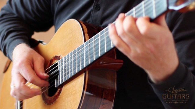 Peter Meier - 2008 Petr Matoušek: CLASSICAL GUITARS AT SICCAS GUITARS