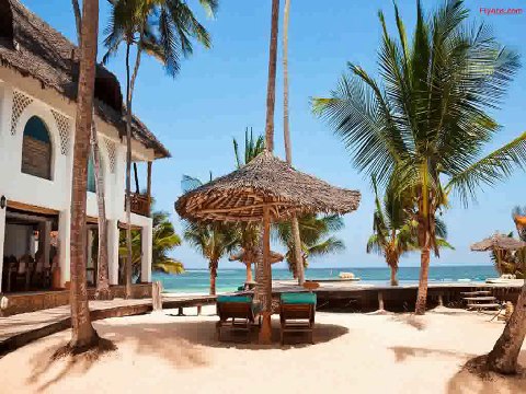 Kenya Beach Holidays and Wildlife Safari