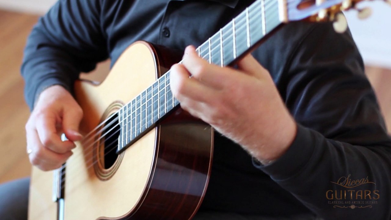 Peter Meier plays Se ela Perguntar by Dilermando Reis on a 2003 Michel Brück