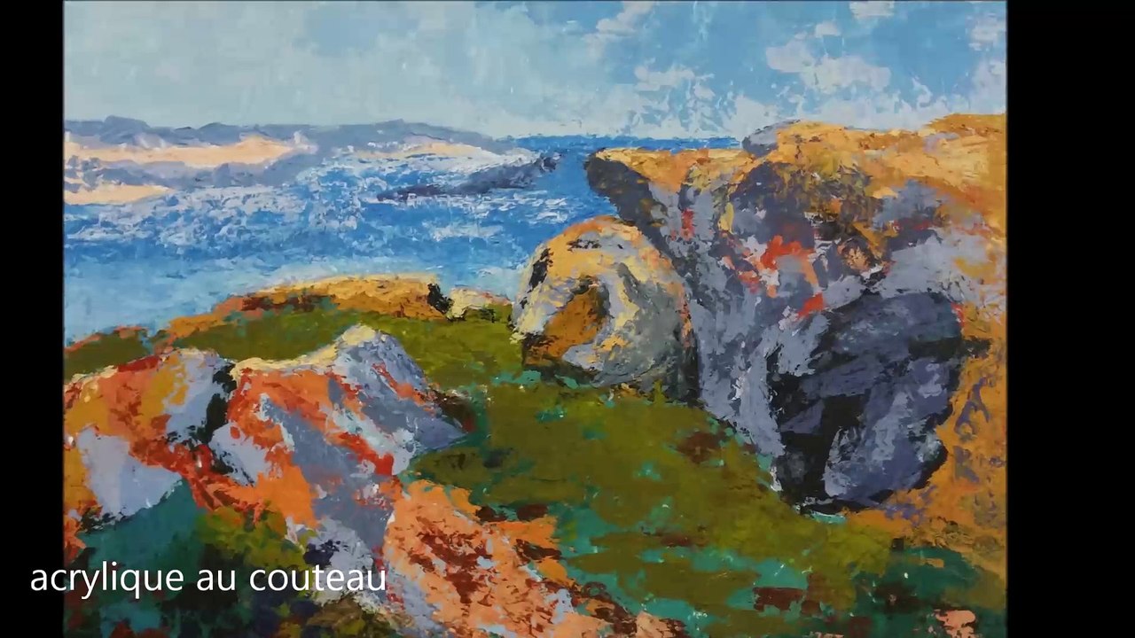 AAIDF_PO-2015_dailymotion