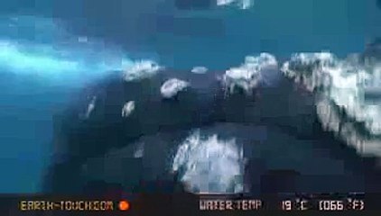 Webcam Streaming (REPLAY)