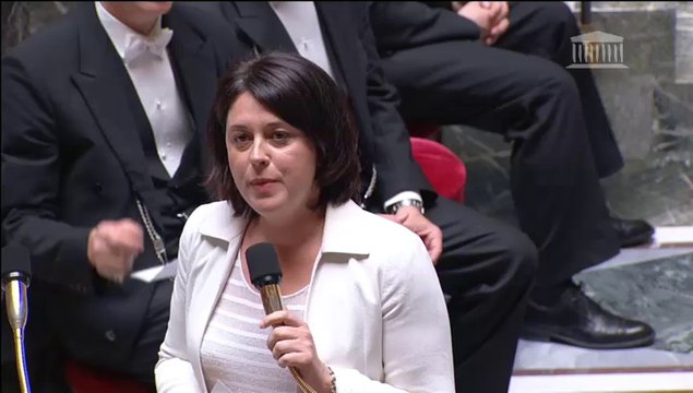 Reprise de la construction de logements: S. Pinel répond à une QAG