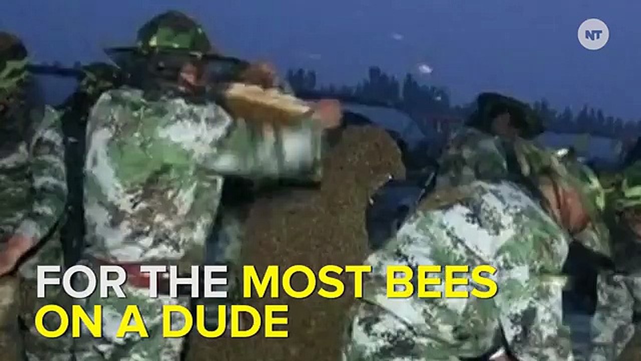 Man Breaks Record For Most Bees On Man