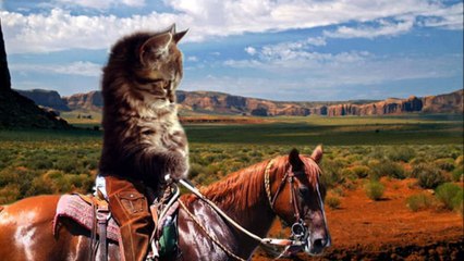 Top 10 des meilleurs montages Photoshop