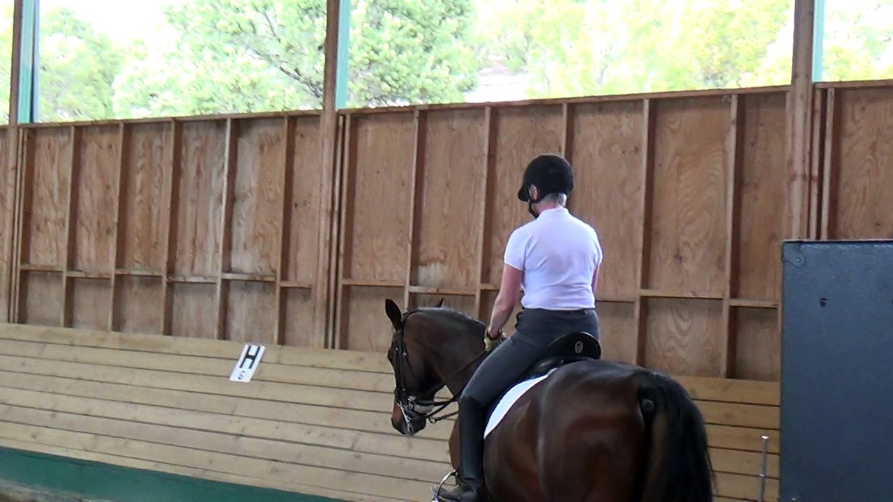 Jane McPeters riding Bonito at Mary Wanless Clinic, video 2