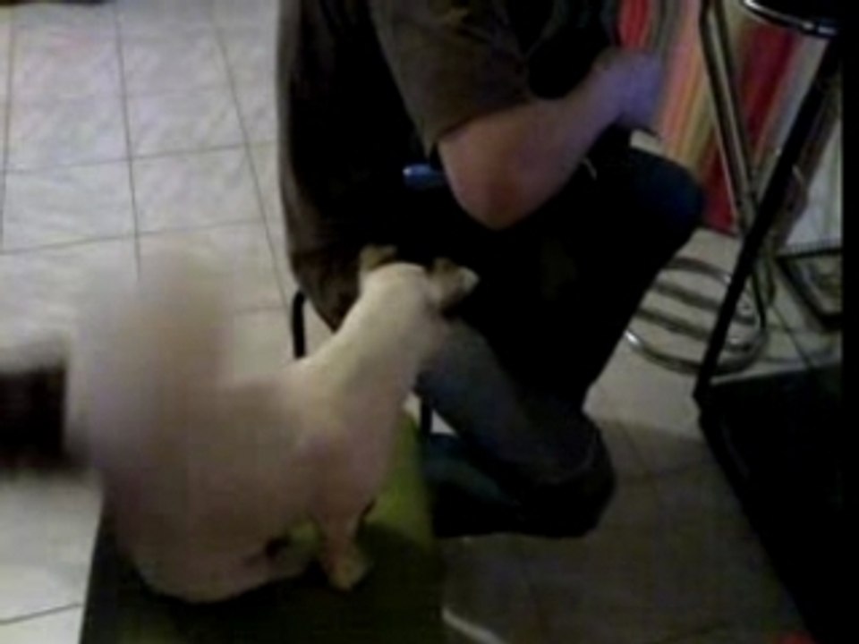 Astra à son cours de chant!!!