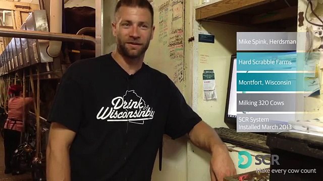 Dairy cow health - hard Scrabble Farms, early detection of cow carrying dead calf, WI, USA