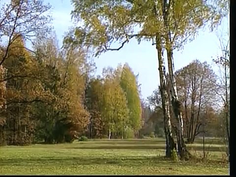 サン・トワ・マミー 天海祐希　ＵＰＡ-００３３