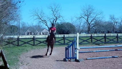 Falling off my horse for the first time