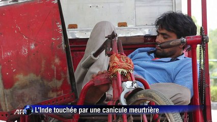 Une vague de chaleur meurtrière sévit en Inde