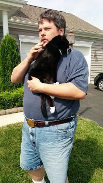 Il presse son chat pour l'aider à uriner