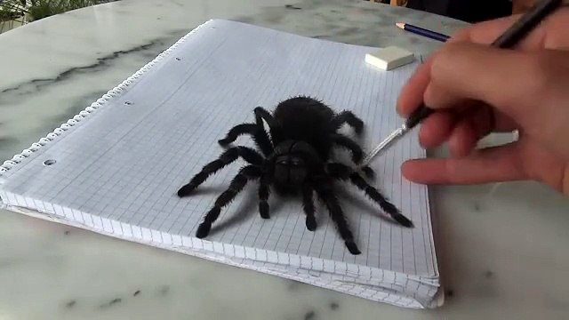 illusion anamorphique : dessin araignée en 3D