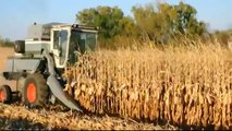 Gleaner F2 Combining Corn Fall 2011