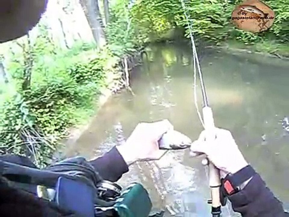 Fliegenfischen am kleinen Bach auf Forelle