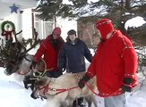 Reindeer Visit Windom, Minnesota
