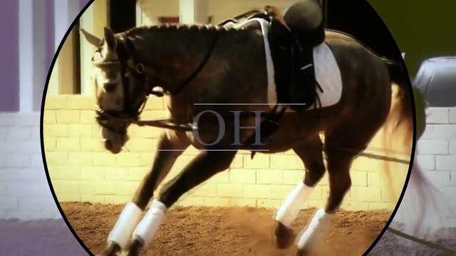 bigger ; better ; stronger ; P O W E R