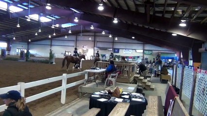 Sparkling Halo - November 2012 Thoroughbred Celebration Horse Show - Pleasure Class