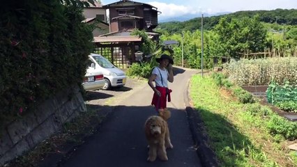 Yume & Myu　ユメとミュー　仲良しコンビの冒険