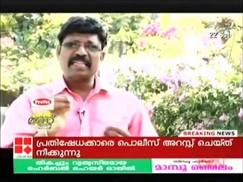 Belgesel Fantezi Güvercin Yetiştirme  / Documentary on Fancy Pigeon Rearing