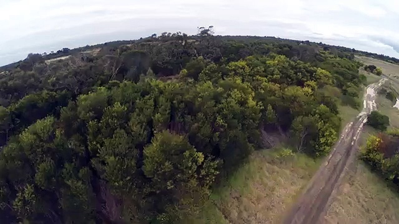 Así fue como un águila bajó del cielo a un dron