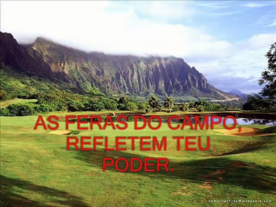 as aves do ceu cantam para ti, as feras do campo refletem teu poder...