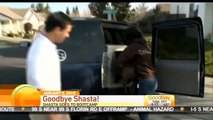 The Local Bark checks in with Good Day Sacramento regarding Shasta's Training in Bootcamp